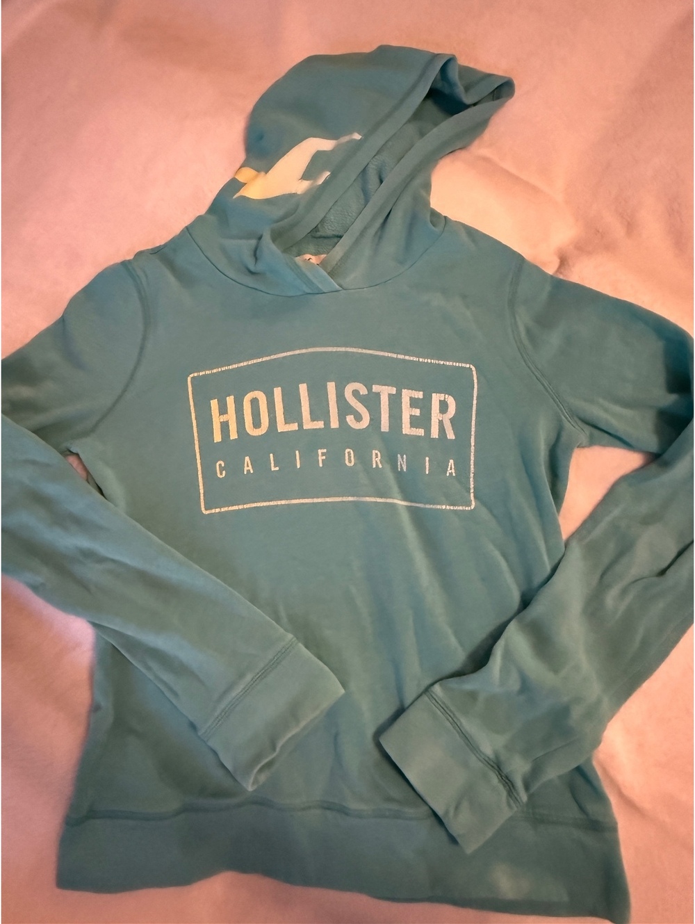 Hollister California Teal Logo Pullover Hoodie Womens XS